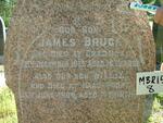 BRUCE James -1913 :: BRUCE Willie -1909