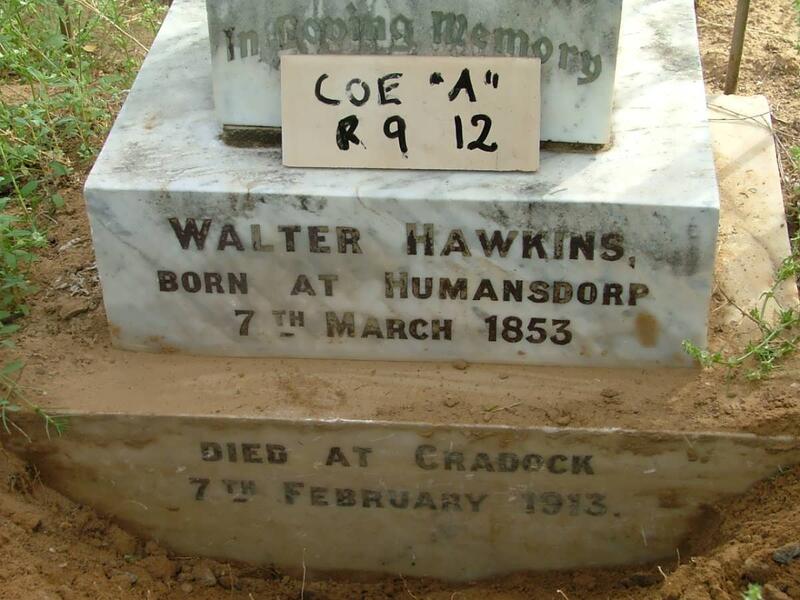 HAWKINS Walter 1853-1913