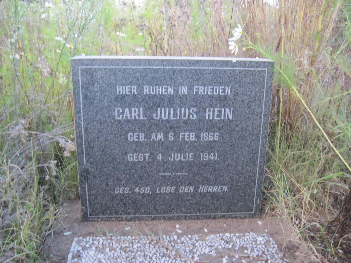 HEIN Carl Julius 1866-1941