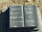 GROBBELAAR Hansie J.B.P. 1990-1990