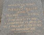 JONES William Illtyd 1865-1945 & Mary MORGAN 1870-1943