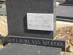 SWANEPOEL Guillaume Van Niekerk, 1961-1985