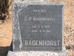 BADENHORST G.P. 1929-1961