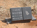 WOLTER Callie 1937-1998