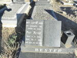 BESTER Piet Retief 1933-1985