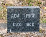 TRICE Ada -1902