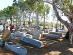 7. Military graves