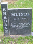 SHABANE Mlindi 2000-2001