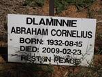 DLAMINNIE Abraham Cornelius 1932-2009