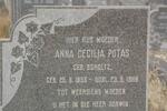 POTAS Anna Cecilia nee SCHOLTZ 1895-1968