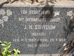 STRYDOM J.H. 1882-1955