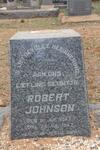 JOHNSON Robert 1947-1947
