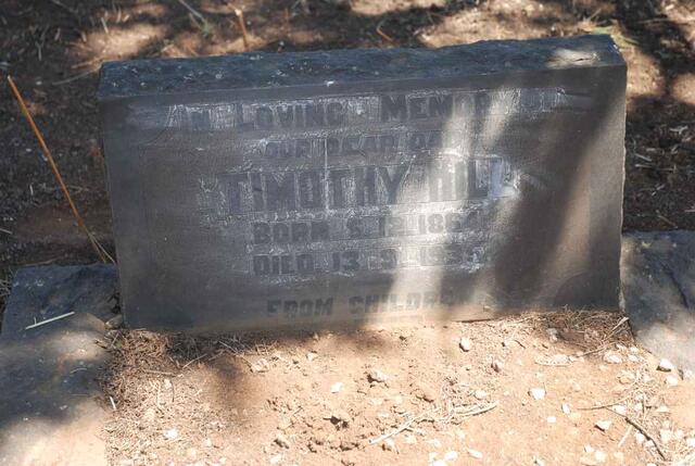 HILL Timothy 1864-1935