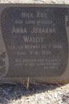 WALLIS Anna Johanna nee V.D. MERWE 1866-1954