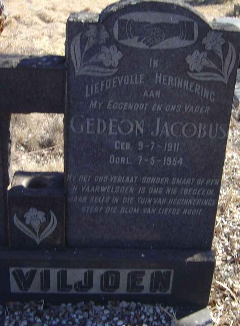 VILJOEN Gedeon Jacobus 1911-1954