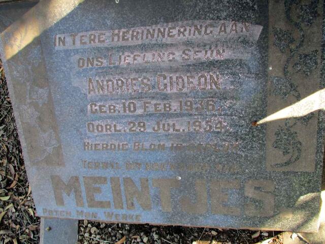 MEINTJES Andries Gideon 1936-1954