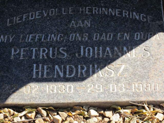 HENDRIKSZ Petrus Johannes 1930-1990