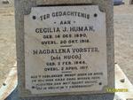 VORSTER Magdalena nee HUGO 1844-1917 :: HUMAN Cecilia J. 1890-1918