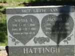 HATTING Sophia A. 1906-1961 :: HATTINGH Jacoba J. 1910-1965