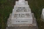 NEL Matty 1928-1928