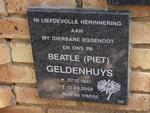 GELDENHUYS Beatle 1947-2008