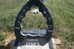 JAMES Caitlin 2001-2003