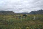 Mpumalanga, LYDENBURG district, Badfontein, Goedehoop 142 JT, farm cemetery