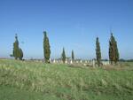 Free State, PETRUS STEYN, Old cemetery