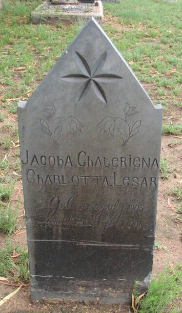 LESAR Jacoba Chateriena Charlotta 1905-1906