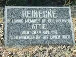 REINECKE Attie -1917