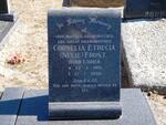FROST Cornelia Etrecia nee LUDICK 1913-1998