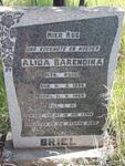 BRIEL Alida Barendina nee ROOS 1899-1959