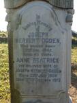 OGDEN Joseph Herbert -1942 & Anne Beatrice 1904-1972 :: OGDEN Desmond 1924-1924