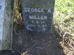 MILLER George A. 1914-1989