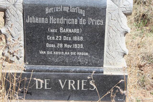 VRIES Johanna Hendriena, de nee BARNARD 1868-1939