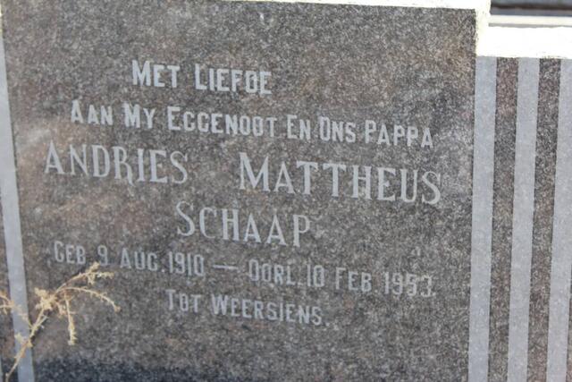 SCHAAP Andries Mattheus 1910-1953