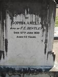 BENTLEY Sophia Amelia -1930