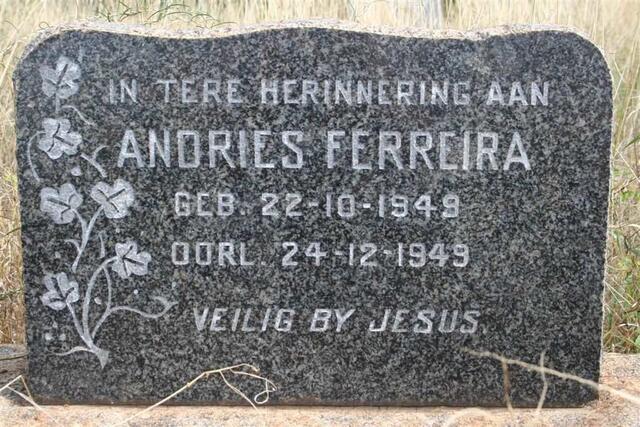 FERREIRA Andries 1949-1949