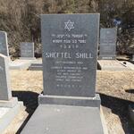 SHILL Sheftel -1980