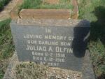OLFIN Juliaq A. 1916-1916