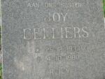 CILLIERS Joy 1933-1980