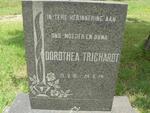 TRICHARDT Dorothea 1891-1974