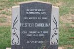 CASSELL Hester Carolina nee GOUWS 1898-1970