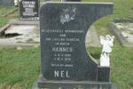 NEL Hannes 1965-1976