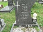 SUCENA Aires Penha 1903-1989