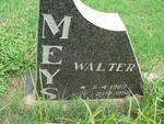 MEYS Walter 1963-1992
