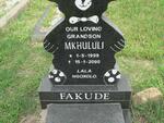 FAKUDE Mkhululi 1999-2000