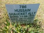 ALLY Hussain Shaucket 1950-2000