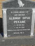 PAKANE Albinah Dipuo 1941-1999