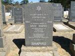 SHAPIRO David 1883-1958